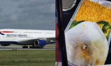 Fake teeth found in the food of British Airways flight