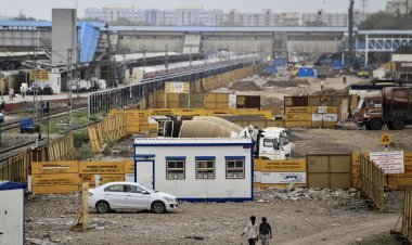 Bombay HC Gave Allowance To Cut 22,000 Mangroves For Bullet Train Project