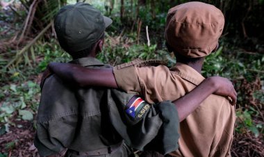 Allegations against many public schools in America; Children forced into military career