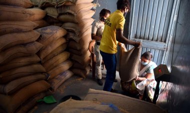 81.35 crore people will get free ration for one more year