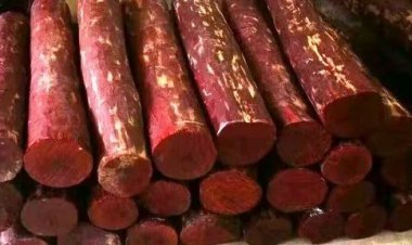 6 crore of red sandalwood was recovered in Bhiwandi