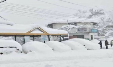 Snowfall in the mountains increased the cold on the new year