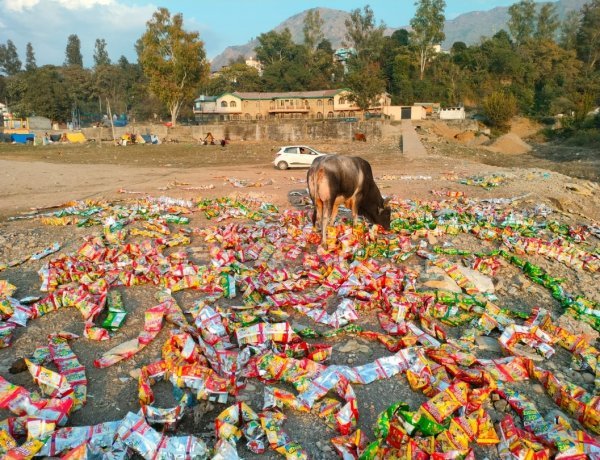 Thousands of chip packets of expiry date thrown on the banks of Govind Sagar lake, CCTV footage will be searched
