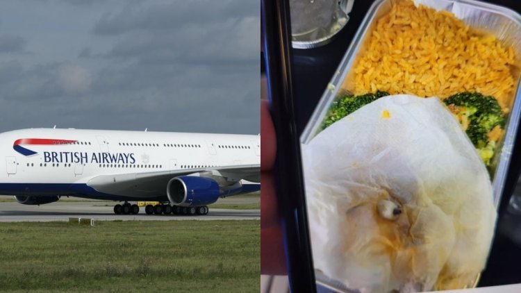 Fake teeth found in the food of British Airways flight