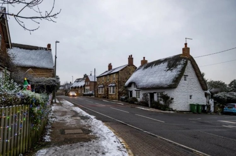 Jail for 6 weeks for cutting bushes: Court bans man from entering the village