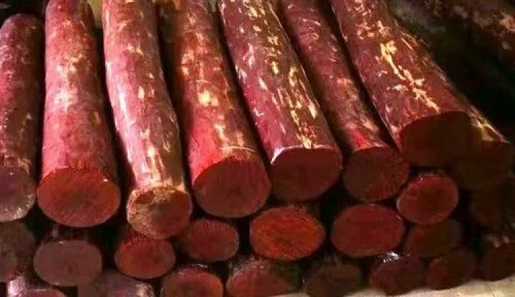 6 crore of red sandalwood was recovered in Bhiwandi