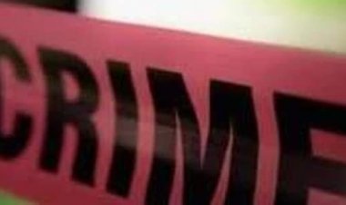 Murder of childhood friend and wife in Delhi: Friend met 15 days before wife