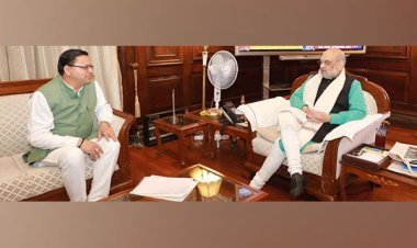 Cracks in 849 houses in Joshimath: CM Dhami meets Amit Shah