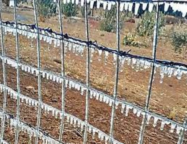 Mercury in 6 cities in Rajasthan reached minus, trains running late by several hours in North India