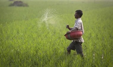 Dragon does not give any relief in debt waiver and interest rates