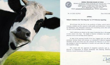 Government's appeal- Celebrate Cow Hug Day on February 14