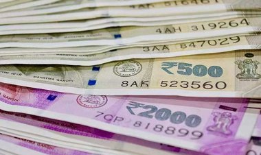 Profit of auto, realty, hospitality sector increased by 20%