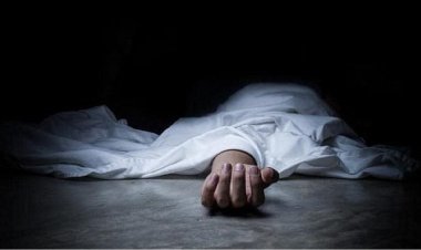 Hizbul Mujahideen's top commander Bashir Ahmed killed: 2 assailants shot dead