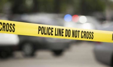 Air Force Group Captain's son arrested in murder case: Car climbing 3.5-year-old girl in Delhi