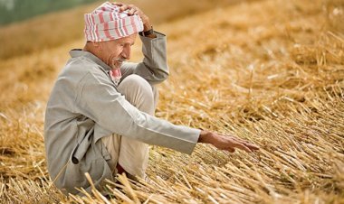 Rural consumption increased by only 4.6% in the last quarter, this is 2% less