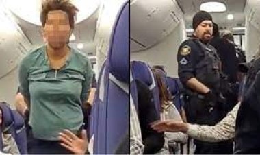 Passenger tried to open the plane's emergency gate