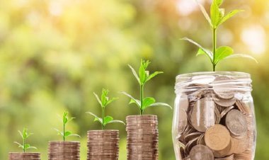 Increase investment in equity gradually, manage your investment portfolio in these four ways