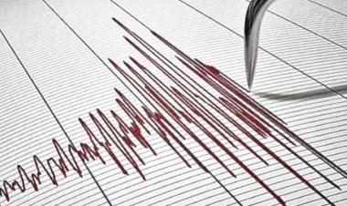 Earthquake tremors in Rajasthan's Bikaner: 4.2 intensity measured on Richter scale