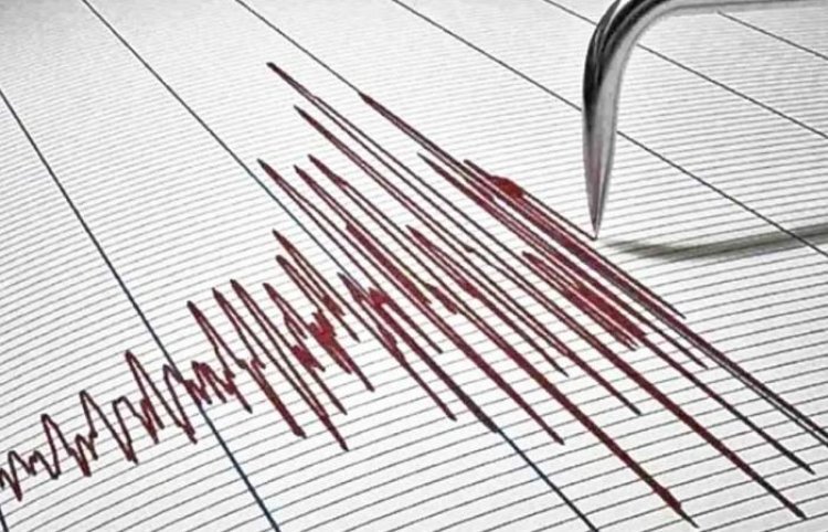 Earthquake tremors in Rajasthan's Bikaner: 4.2 intensity measured on Richter scale