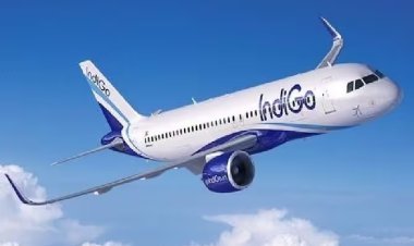 Air hostess molested in Indigo flight: Drunk Swedish national held her hand on the pretext of making payment