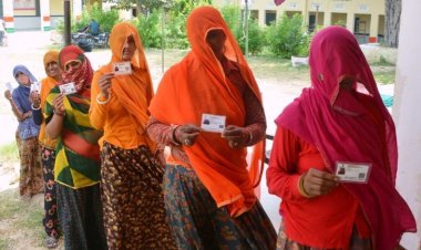 Announcement of by-elections in bodies and panchayats: 14 wards lying vacant in 14 bodies