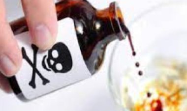 Businessman robbed in a moving bus in Jaipur: Water mixed with poison