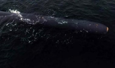 North Korea tests second underwater nuclear drone