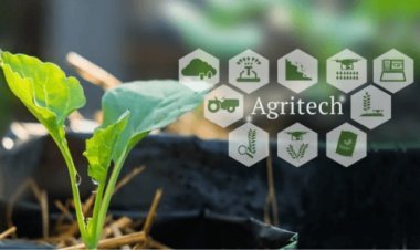 Agritech business in India has the potential to reach $24 billion: NITI Aayog