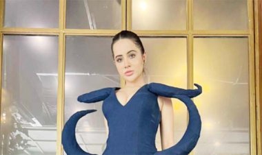 Urfi Javed made such a bold dress from an old saree, but people's eyes were fixed on this thing hanging on her hair