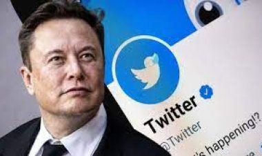 Twitter will close inactive accounts, Elon Musk said - the number of followers may decrease