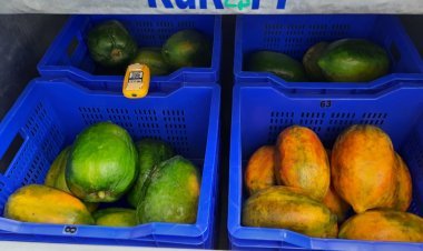 Rukart selling 'vegetable cooler' joined hands with SBI, and small farmers will get a big benefit