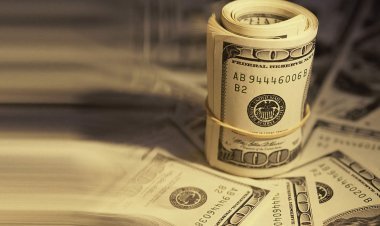 India Forex Reserves: Foreign exchange reserves reached close to $ 600 billion