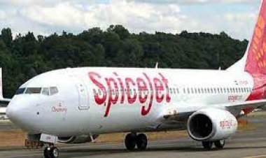 SpiceJet shares fall 14%, stock reaches 52-week low