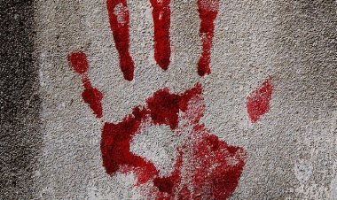 Live-in partner stabbed to death, then dismembered her body