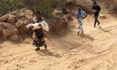 Baby girl dies of snake bite in Tamil Nadu: Parents walk 10KM with dead body