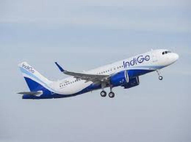 Indigo Shares: Go First Aviation shares rise amid crisis, Indigo reaches 52-week high
