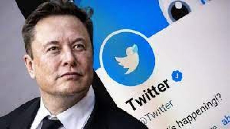 Twitter will close inactive accounts, Elon Musk said - the number of followers may decrease