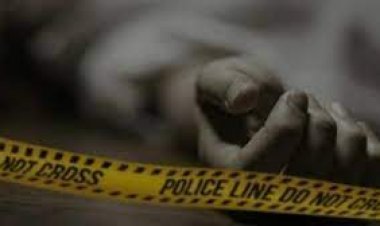 Murderous attack on auto driver in Jaipur: fiercely beaten while sleeping in auto