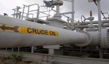 India is buying the most crude oil from Russia, supply is not increasing from OPEC countries after all measures