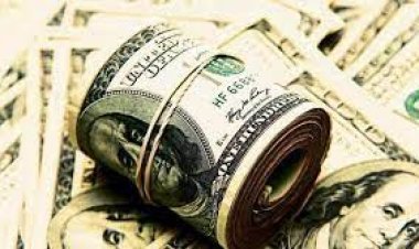 FPI raised money on the Indian stock market, invested close to 44000 crores in May