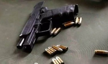 Licensed revolver-cartridge stolen in Jaipur: driver-servant kept in new house, disappeared after shift