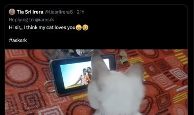 'Just need some dogs to also start liking my films...', this tweet of Shah Rukh Khan turned people's mind