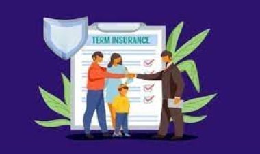 Policyholder died on the very next day of taking Term Insurance? Will the nominee get the full money