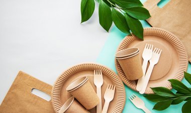 BIS brought quality standards for biodegradable food utensils, now cutlery makers will have to do this work
