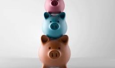 Government has increased the interest rate on Small Saving Schemes, know how much will be the benefit now