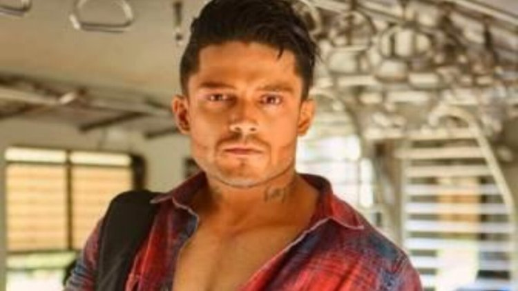 Siddharth Bhardwaj made serious allegations against Mohit Suri, said- 'People outside the industry consider them dogs'