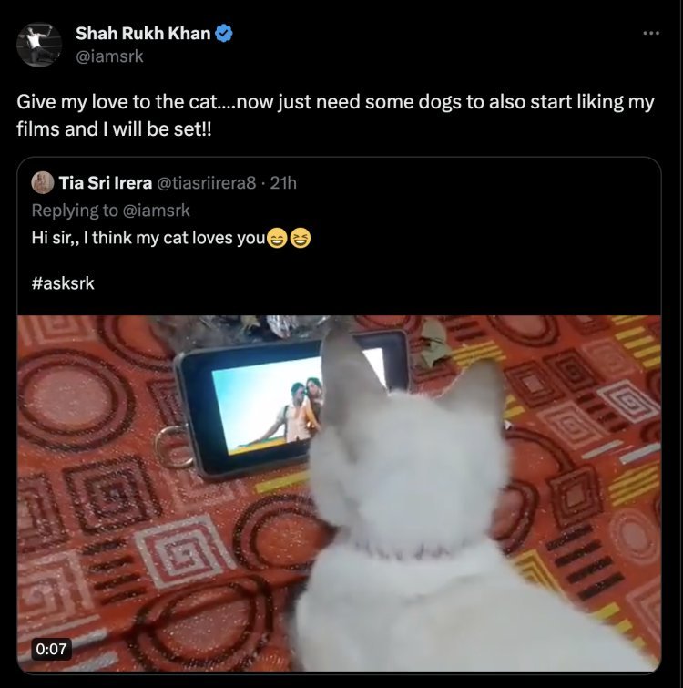 'Just need some dogs to also start liking my films...', this tweet of Shah Rukh Khan turned people's mind