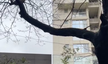 Jacqueline Fernandez bought a new house in Mumbai, this luxury home includes pool and gym