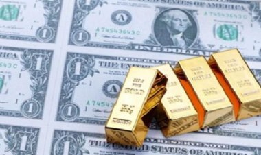 Forex reserves: India's foreign exchange reserves increased by US $ 1.85 billion