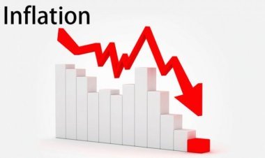 WPI Inflation June 2023: Inflation broke 8-year record, inflation rate came at its lowest level in June